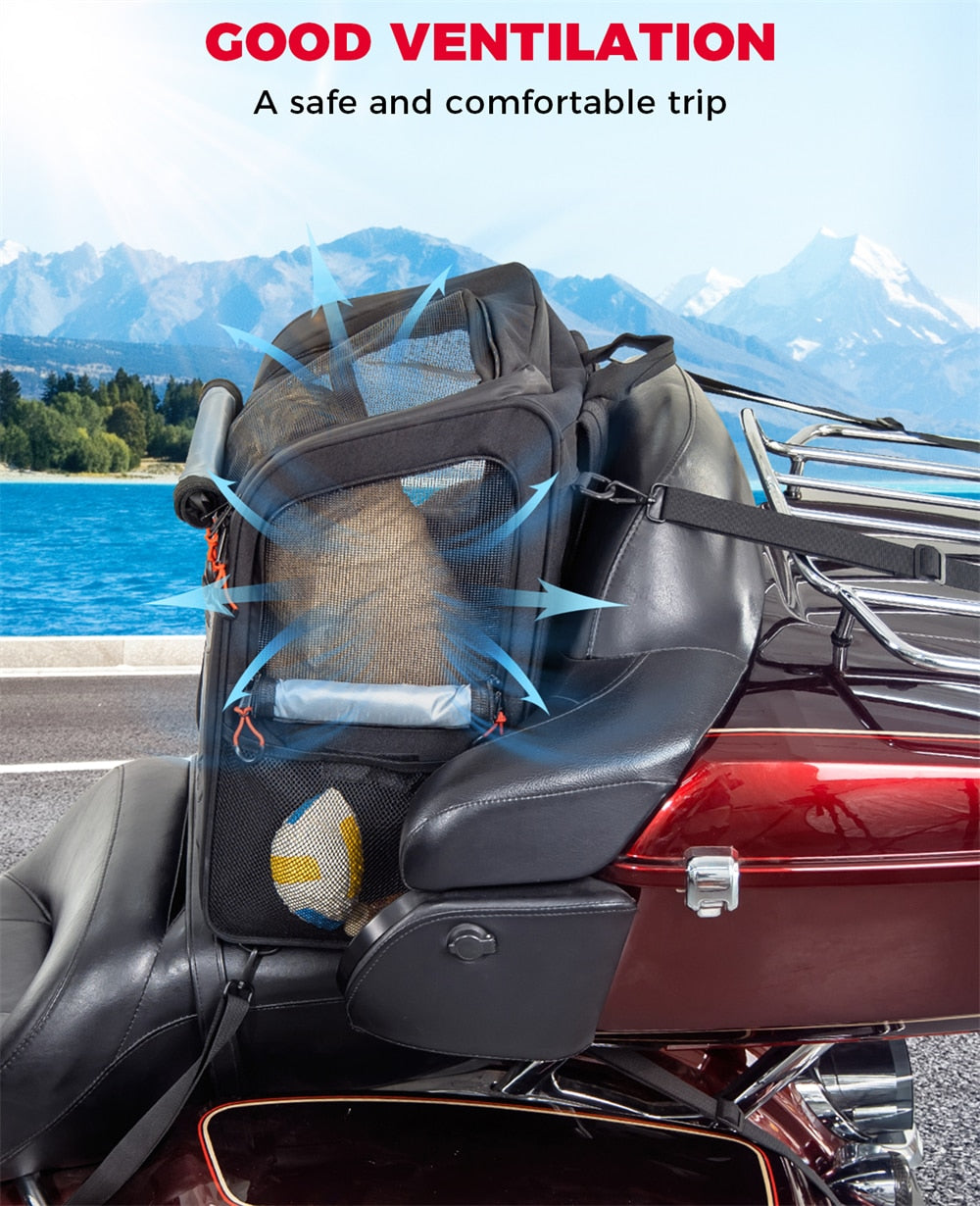 Motorcycle Pet Carrier (Folding Backpack)