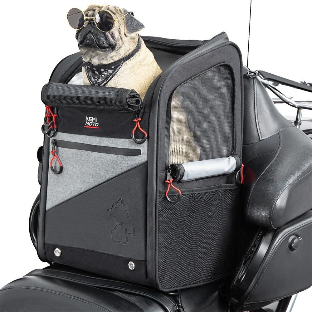 Motorcycle Pet Carrier (Folding Backpack)