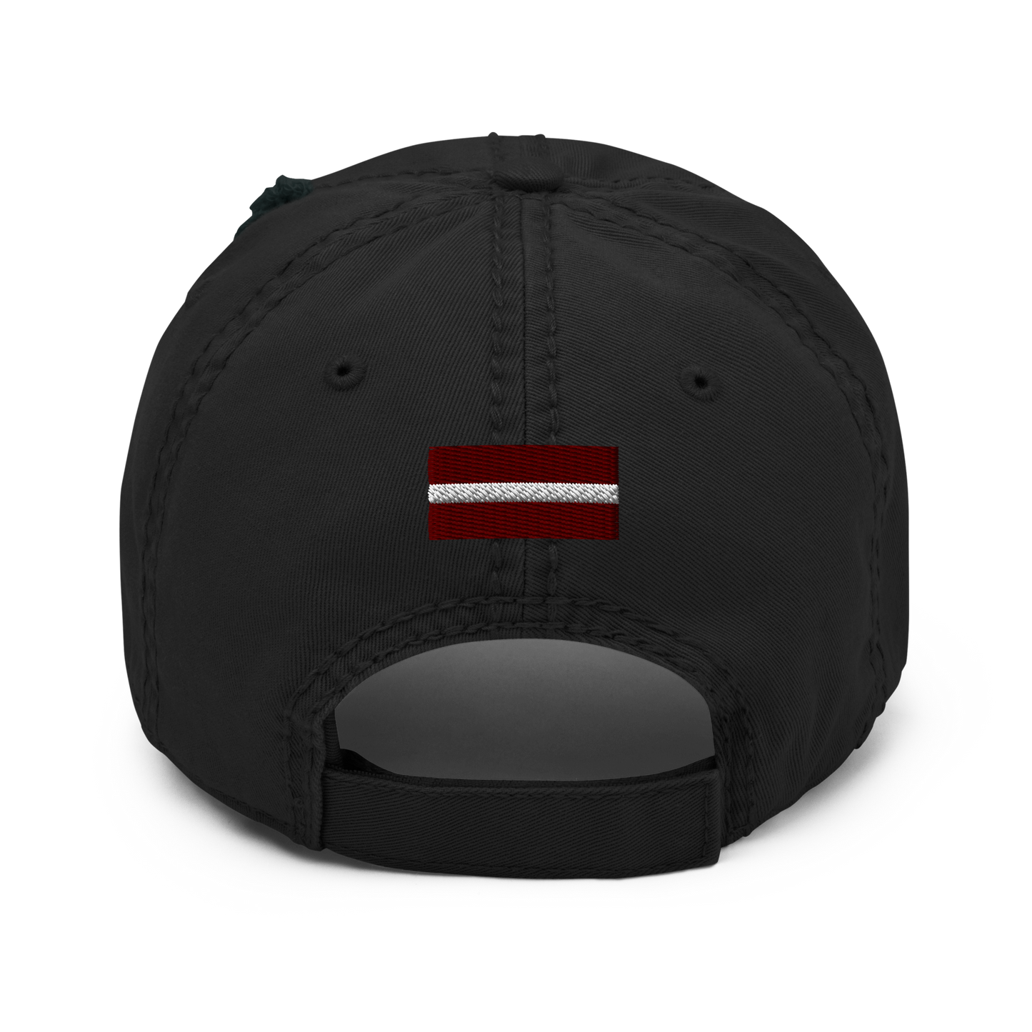 Team Divritenis / Distressed Hat