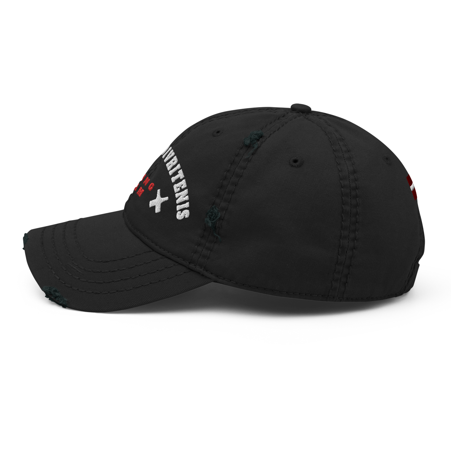 Team Divritenis / Distressed Hat