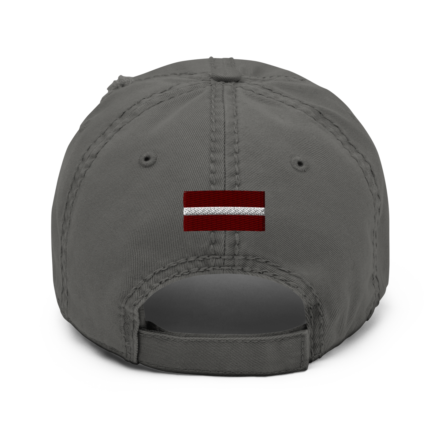 Team Divritenis / Distressed Hat