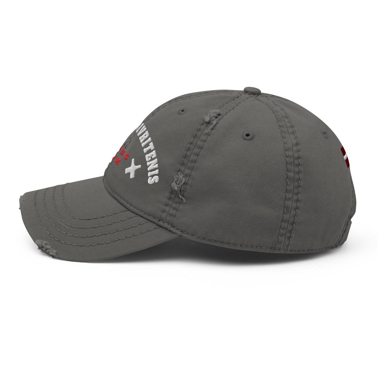 Team Divritenis / Distressed Hat