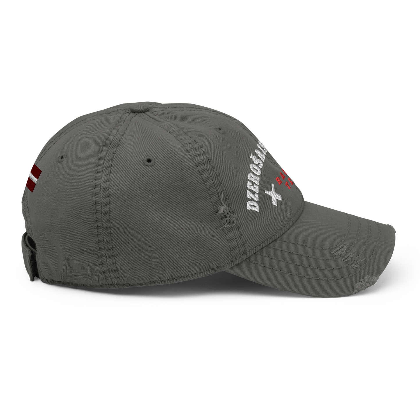 Team Divritenis / Distressed Hat